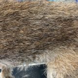 Strävhårig päls